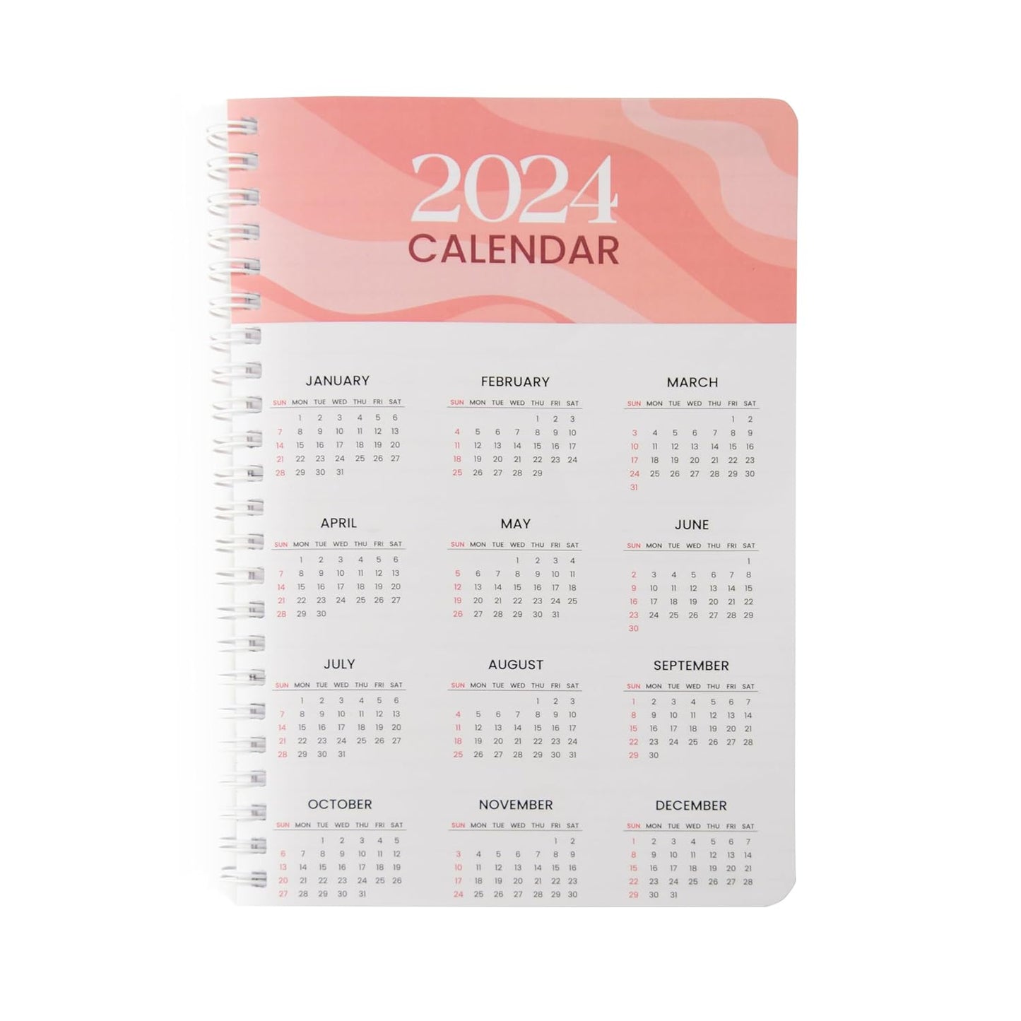Pink- 2024 Diary