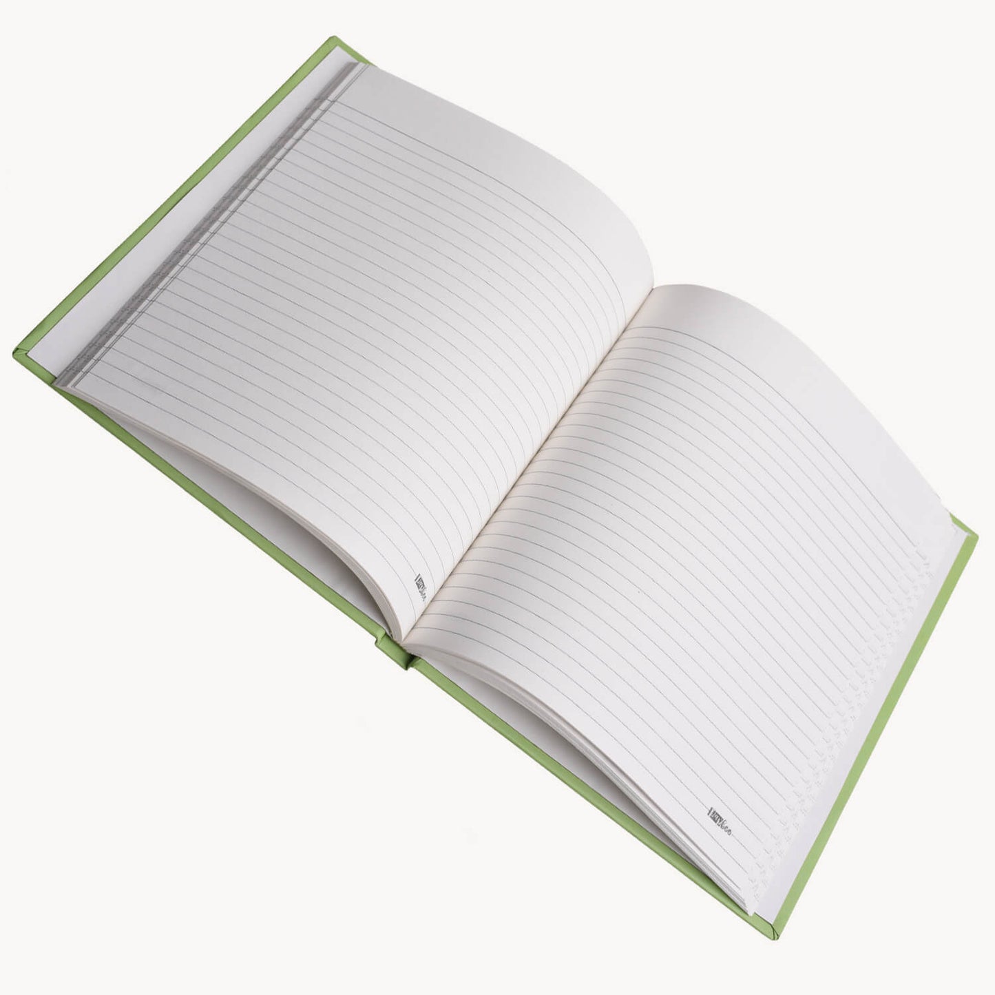 Nazarbattu- Diary