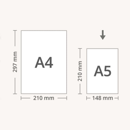 Step- Pack of 9